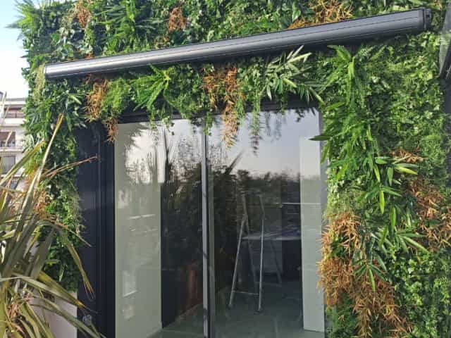 Green design mur végétal
