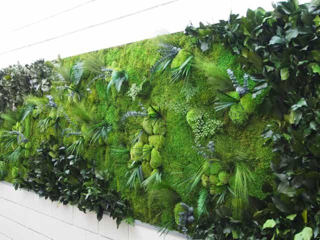 Mur végétal stabilisé